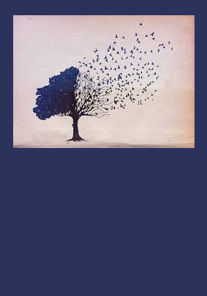 Les oiseaux de Calcutta