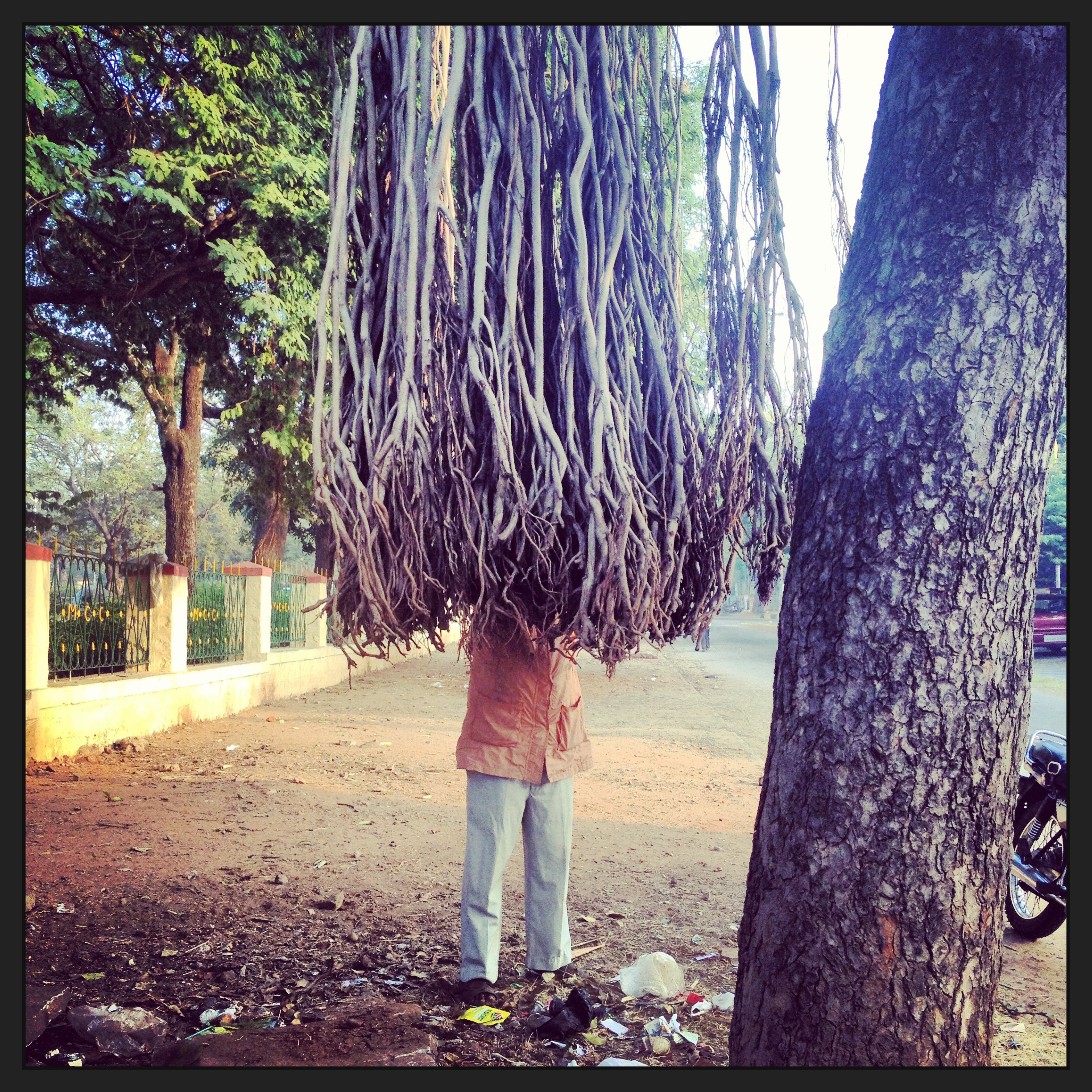 Journal de Mysore